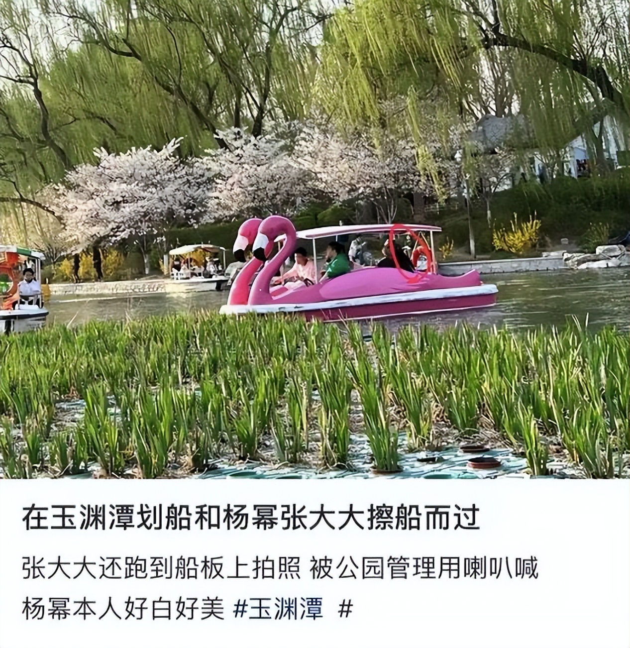 杨幂带2帅哥游公园,长腿细腰不像30岁,手上金表金手链抢镜!休闲区蓝鸢梦想 - Www.slyday.coM 杨幂带2帅哥游公园,长腿细腰不像30岁,手上金表金手链抢镜!休闲区蓝鸢梦想 - Www.slyday.coM