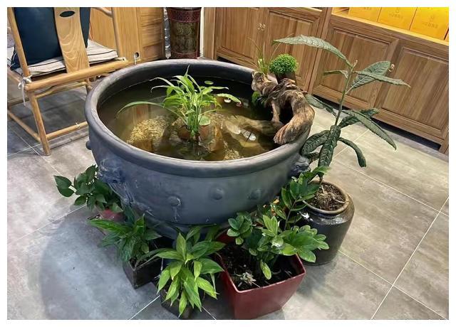 古法养鱼保持水质的技巧有哪些？|瓦盆|养鱼|绿苔_新浪新闻