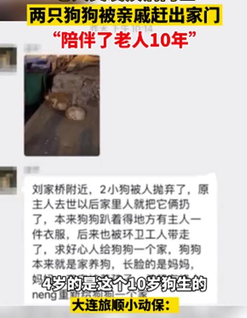 老人突发疾病去世,遗留的2条狗赶出家门,邻居:陪伴了10年啊休闲区蓝鸢梦想 - Www.slyday.coM 老人突发疾病去世,遗留的2条狗赶出家门,邻居:陪伴了10年啊休闲区蓝鸢梦想 - Www.slyday.coM