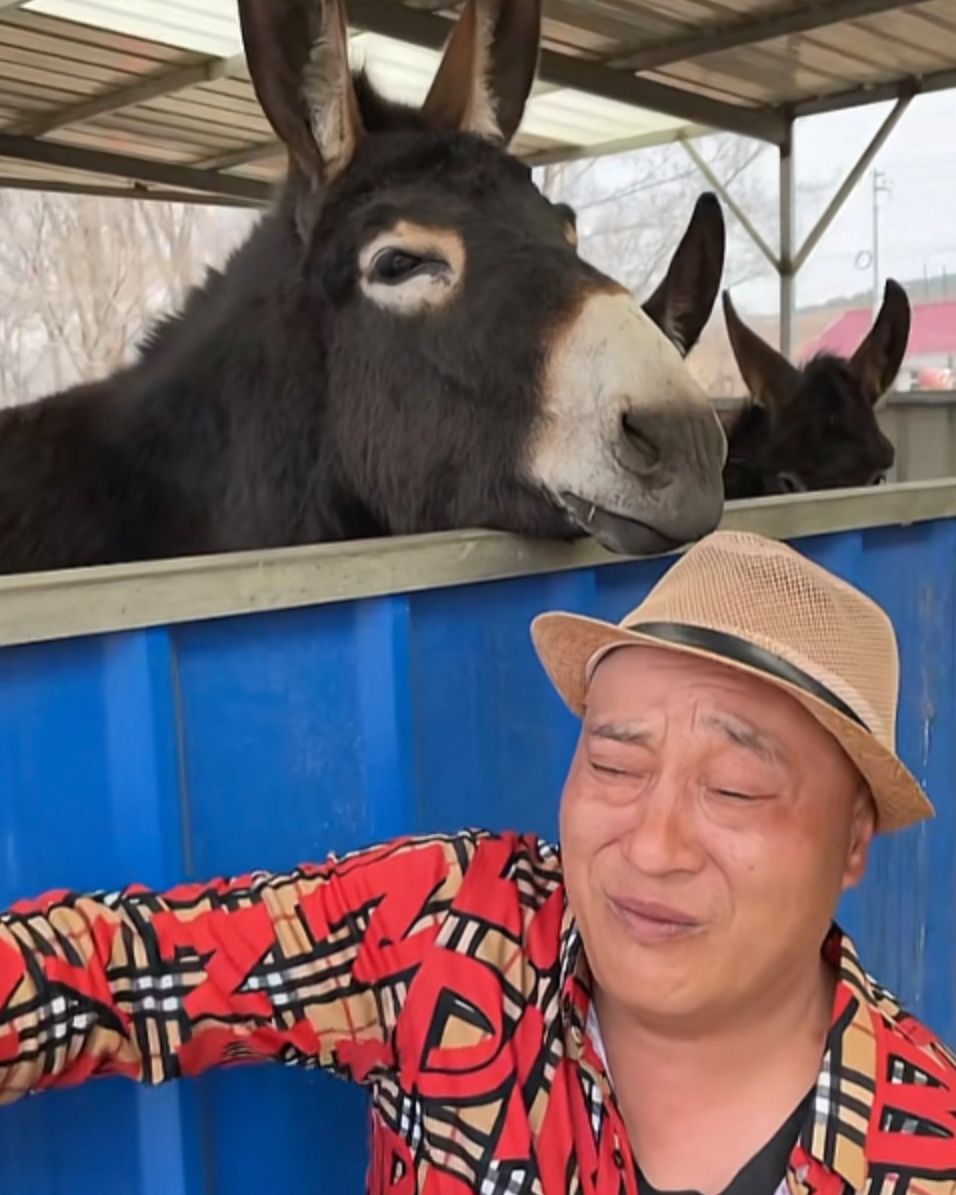 赵四真的太难了!直播带货被网友要求上门安装,卖卫生巾引争议休闲区蓝鸢梦想 - Www.slyday.coM