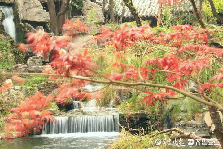 4月9日最佳情报休闲区蓝鸢梦想 - Www.slyday.coM