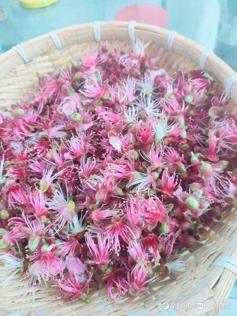 4月9日最佳情报休闲区蓝鸢梦想 - Www.slyday.coM