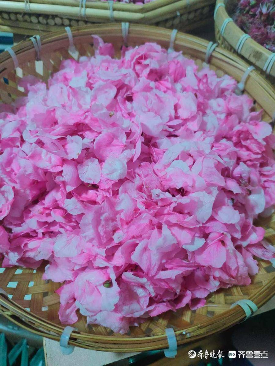 4月9日最佳情报休闲区蓝鸢梦想 - Www.slyday.coM