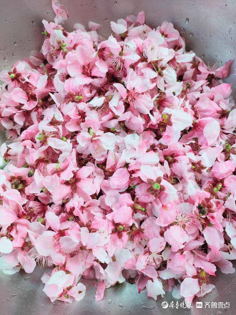 4月9日最佳情报休闲区蓝鸢梦想 - Www.slyday.coM