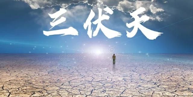 出伏和处暑的区别 出伏和末伏到底有什么区别