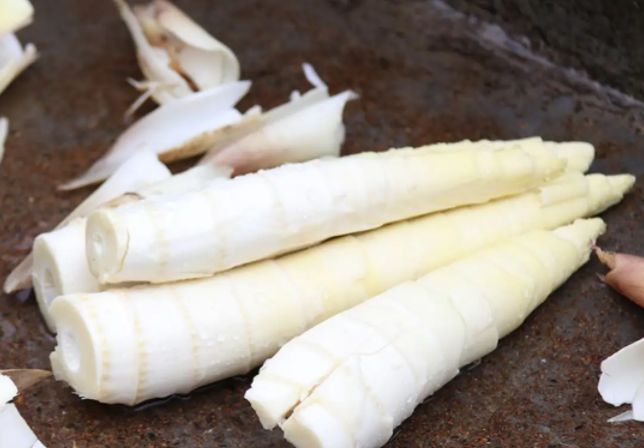 春天吃春笋“禁忌”多,牢记:1不忘,2不放,3不吃,不懂别乱吃休闲区蓝鸢梦想 - Www.slyday.coM 春天吃春笋“禁忌”多,牢记:1不忘,2不放,3不吃,不懂别乱吃休闲区蓝鸢梦想 - Www.slyday.coM