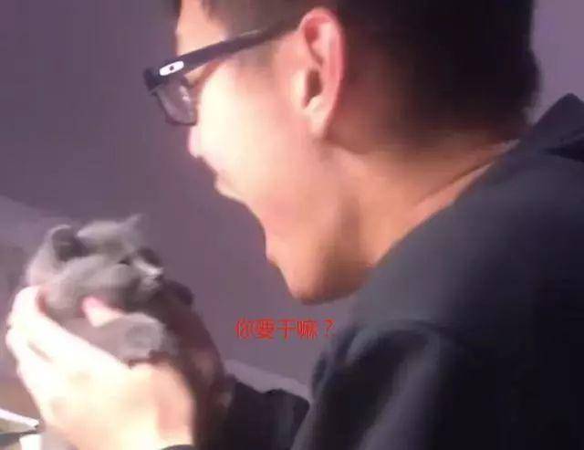 主人把奶猫的头塞进嘴巴里，出来后眼神里面突然充满了惶恐不安休闲区蓝鸢梦想 - Www.slyday.coM