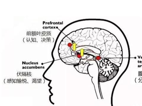 拔高认知你的人生就会一路开挂,10个顶级思维送给你