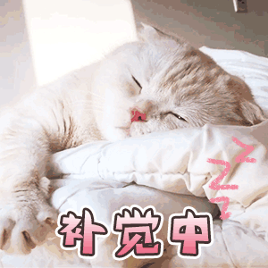 表情包 | 我天,我真美 拿图点赞,吱声