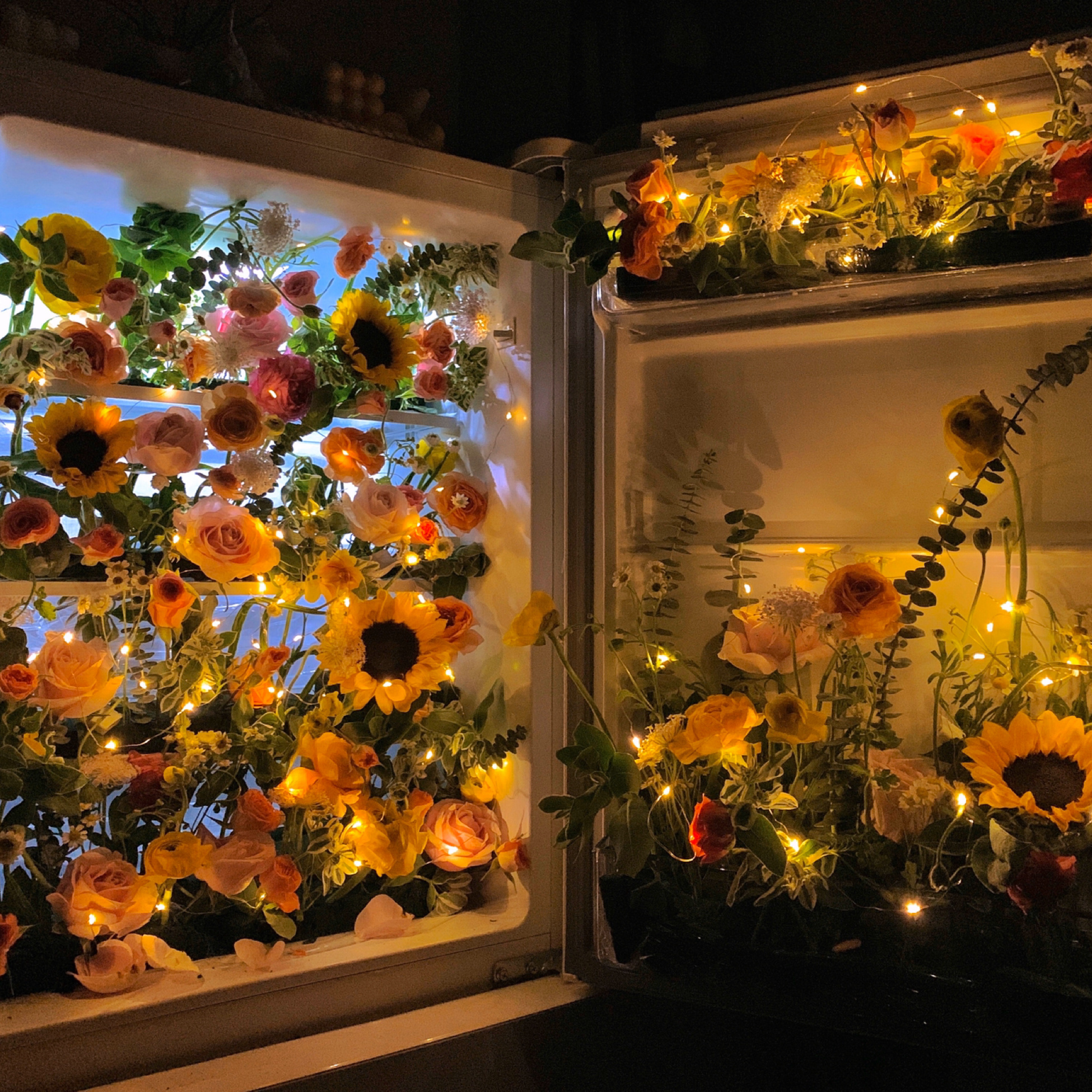 乐观是自己的避难所