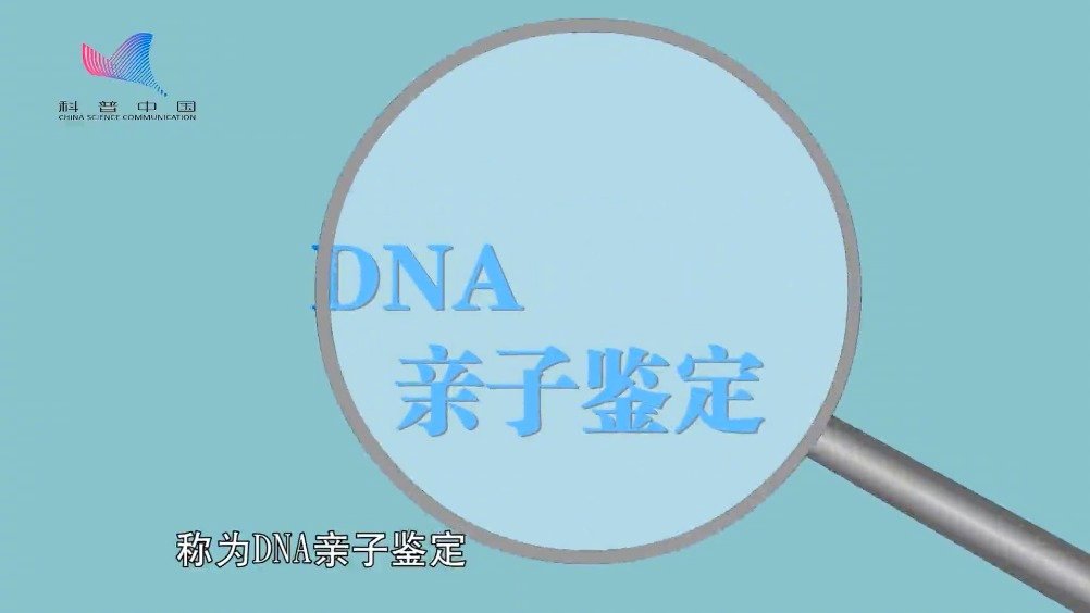 dna亲子鉴定是什么原理?