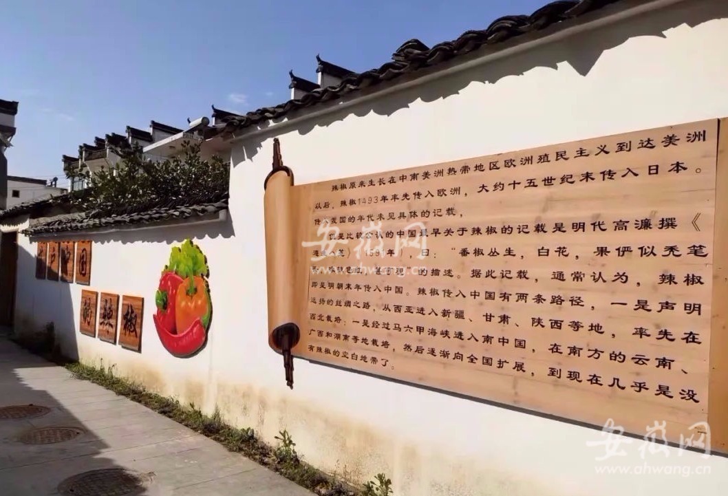 探访黄山“网红村”：绿野仙踪，处处都是蔬菜创意造型休闲区蓝鸢梦想 - Www.slyday.coM