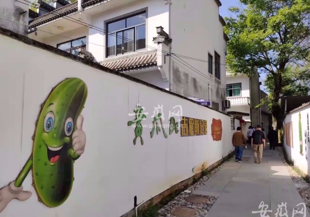 探访黄山“网红村”：绿野仙踪，处处都是蔬菜创意造型休闲区蓝鸢梦想 - Www.slyday.coM