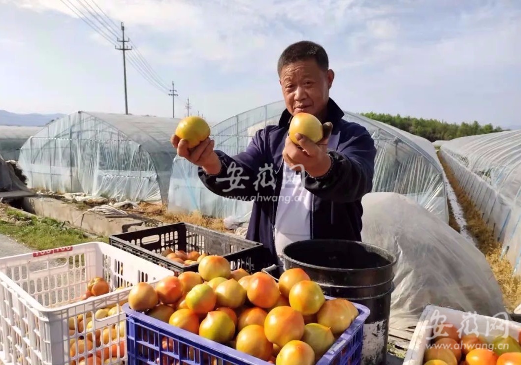 探访黄山“网红村”：绿野仙踪，处处都是蔬菜创意造型休闲区蓝鸢梦想 - Www.slyday.coM