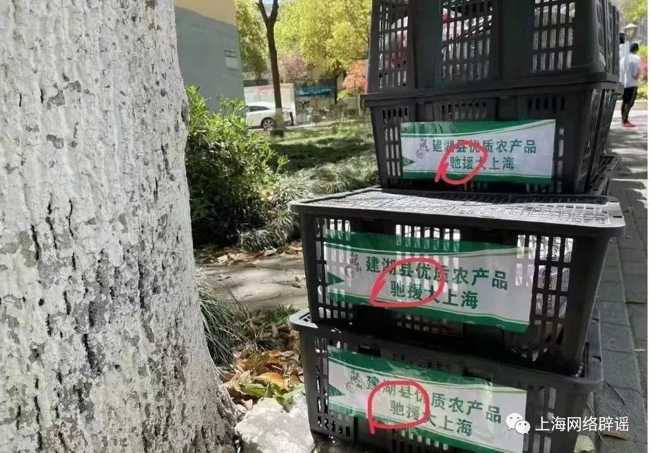 网传上海宝山方舱隔离人员睡纸箱？官方辟谣：实为外省市某公司隔离场所休闲区蓝鸢梦想 - Www.slyday.coM
