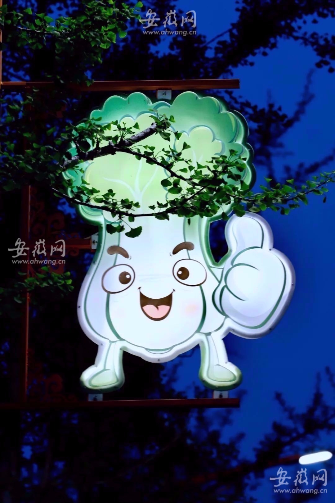 探访黄山“网红村”：绿野仙踪，处处都是蔬菜创意造型休闲区蓝鸢梦想 - Www.slyday.coM