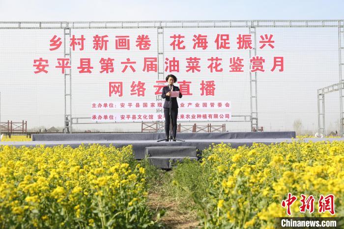 安平县副县长张娜致辞. 田畅 摄