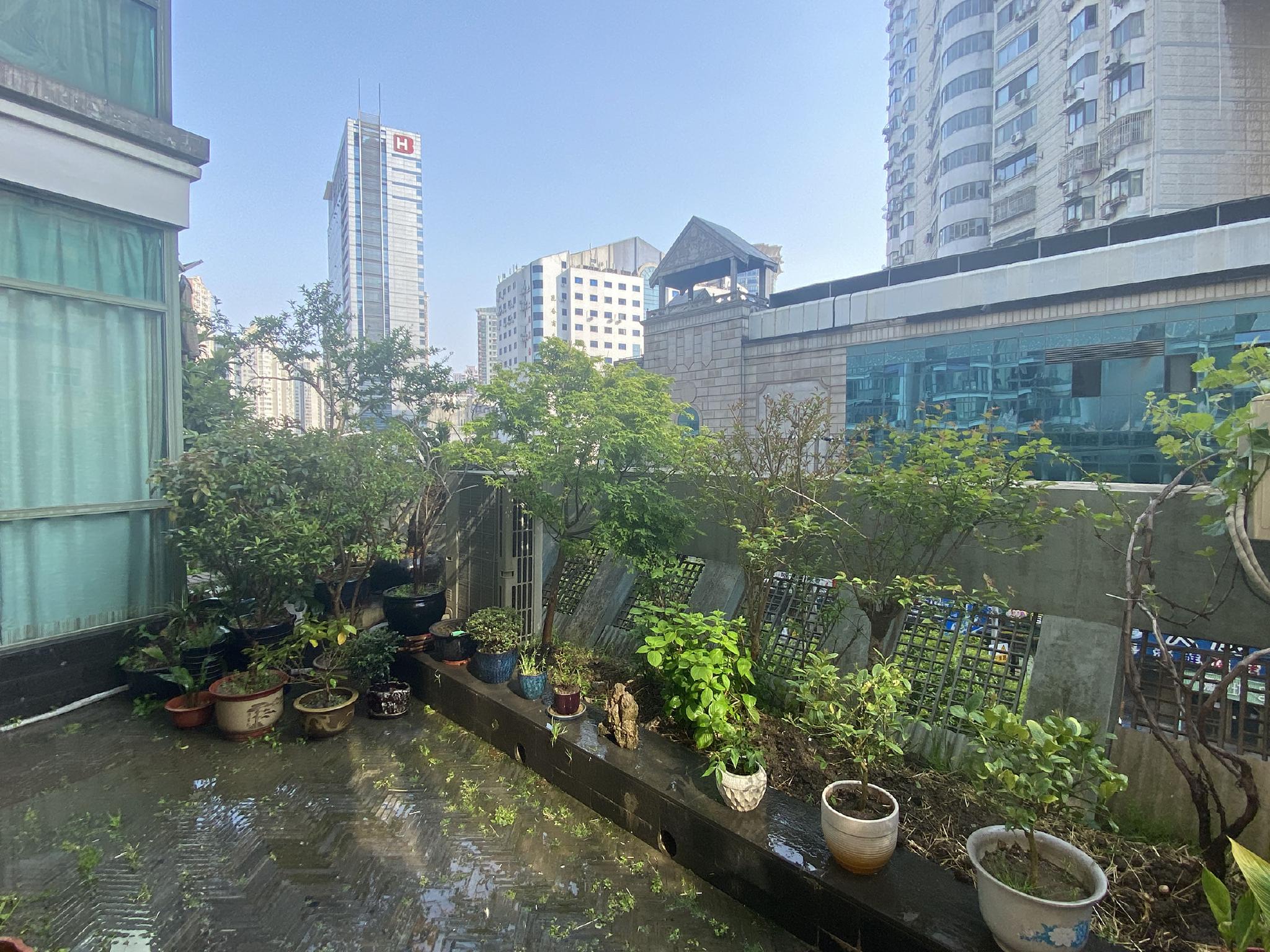 征集图片｜四月，疫情中的窗外休闲区蓝鸢梦想 - Www.slyday.coM