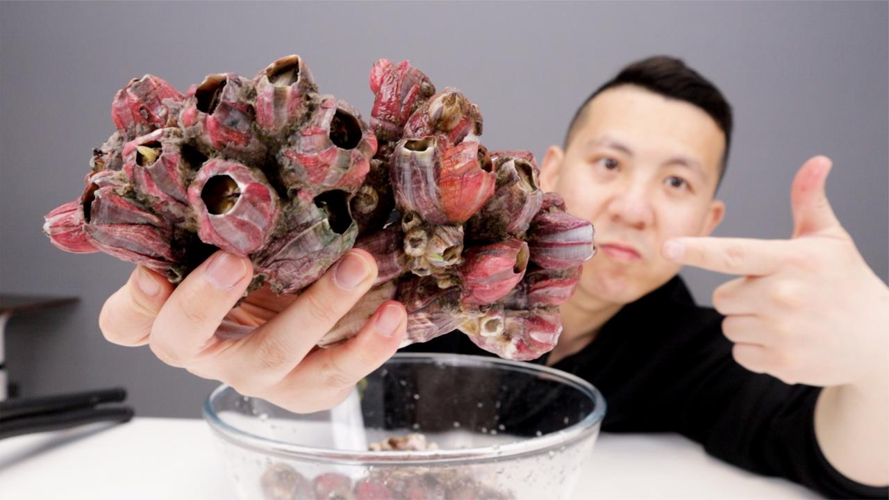 有多少小伙伴没吃过没见过藤壶又是看视频长见识的时刻