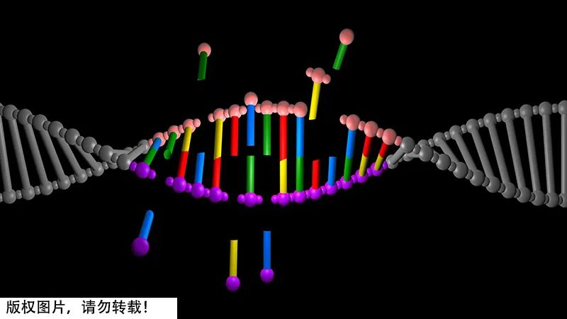 别熬夜了你身体里时刻都在断裂的dna睡够了才能修复好