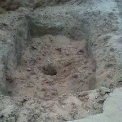 一群狗狗被狗贩子活埋，男子奋不顾身刨土挽救狗狗生命！休闲区蓝鸢梦想 - Www.slyday.coM