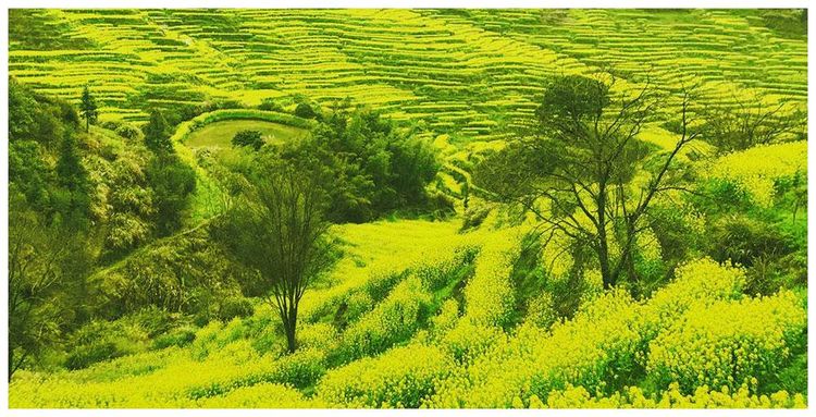 寻一处世外桃源,看一两处独特的风景,中国最美的乡村休闲区蓝鸢梦想 - Www.slyday.coM 寻一处世外桃源,看一两处独特的风景,中国最美的乡村休闲区蓝鸢梦想 - Www.slyday.coM