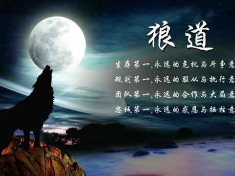 生存战略之像狼一样做社会生活中的强者—读后感《狼道》白冰|目标|人类_新浪新闻