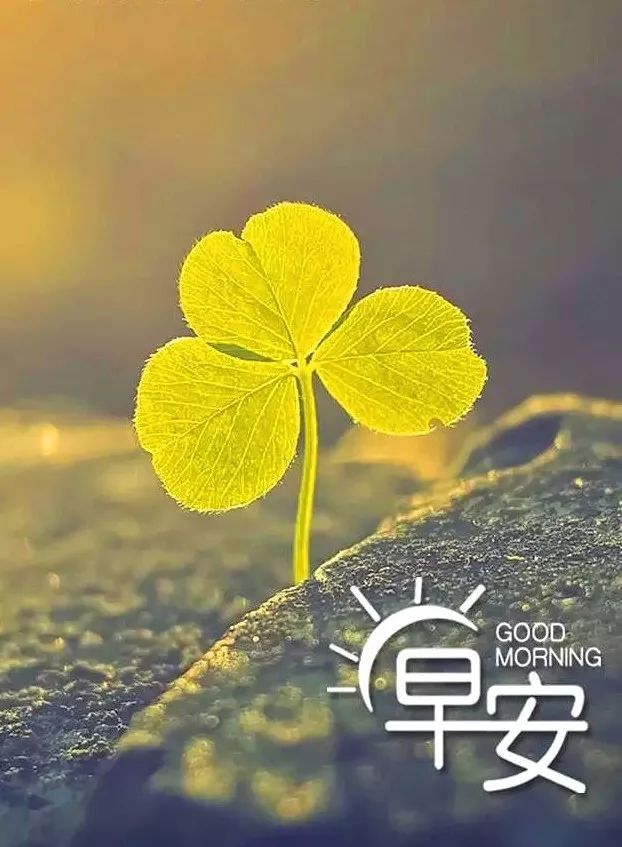 早安励志语录正能量说说 很温馨的早安精致励志图片休闲区蓝鸢梦想 - Www.slyday.coM 早安励志语录正能量说说 很温馨的早安精致励志图片休闲区蓝鸢梦想 - Www.slyday.coM