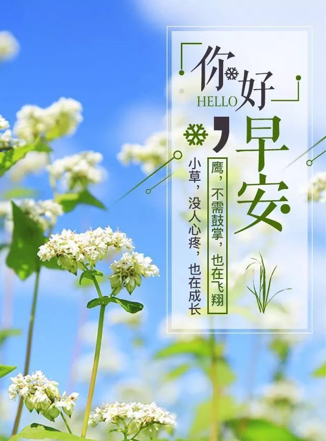 早安励志语录正能量说说 很温馨的早安精致励志图片休闲区蓝鸢梦想 - Www.slyday.coM 早安励志语录正能量说说 很温馨的早安精致励志图片休闲区蓝鸢梦想 - Www.slyday.coM