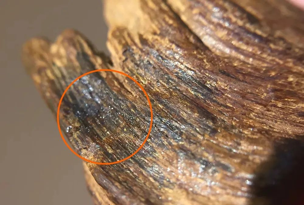 当然鉴别奇楠沉香和普通沉香是非常难的,本身沉香水就特别深,辨别起来