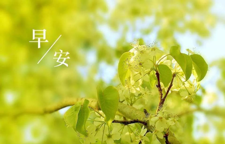 早安励志语录正能量说说 很温馨的早安精致励志图片休闲区蓝鸢梦想 - Www.slyday.coM 早安励志语录正能量说说 很温馨的早安精致励志图片休闲区蓝鸢梦想 - Www.slyday.coM