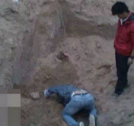 一群狗狗被狗贩子活埋，男子奋不顾身刨土挽救狗狗生命！休闲区蓝鸢梦想 - Www.slyday.coM