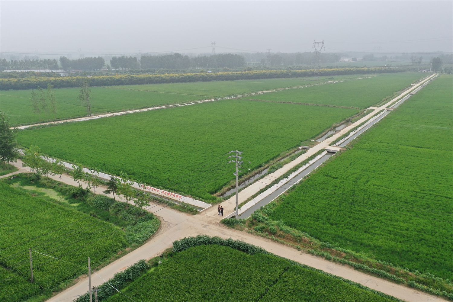 我市全面开展高标准农田建设项目专项整治__财经头条