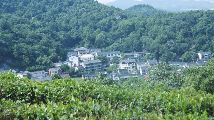 茶园里有了野生咖啡馆？这种混搭这么火都是因为……休闲区蓝鸢梦想 - Www.slyday.coM