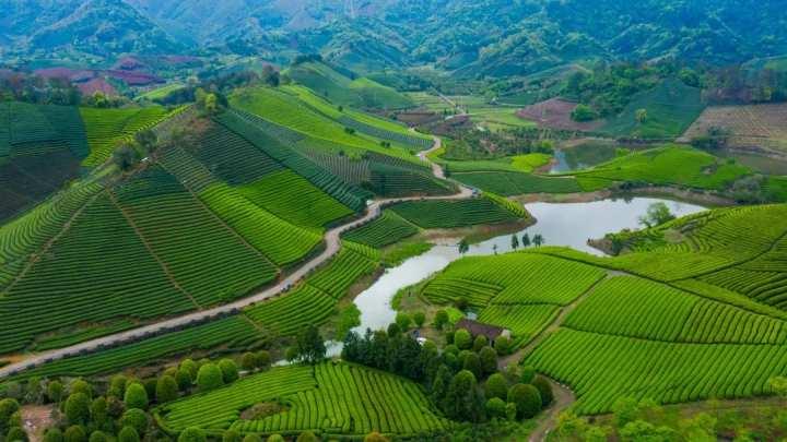 茶园里有了野生咖啡馆？这种混搭这么火都是因为……休闲区蓝鸢梦想 - Www.slyday.coM