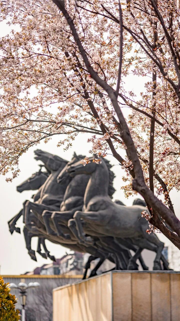洛阳周王城天子驾六博物馆