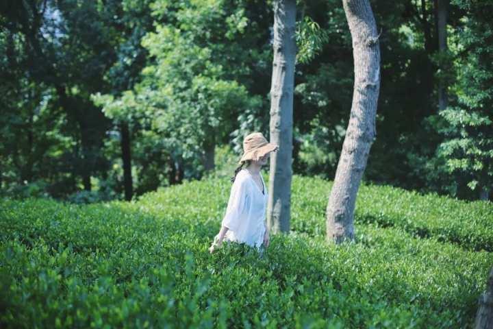 茶园里有了野生咖啡馆？这种混搭这么火都是因为……休闲区蓝鸢梦想 - Www.slyday.coM
