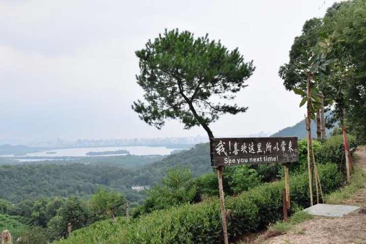 茶园里有了野生咖啡馆？这种混搭这么火都是因为……休闲区蓝鸢梦想 - Www.slyday.coM