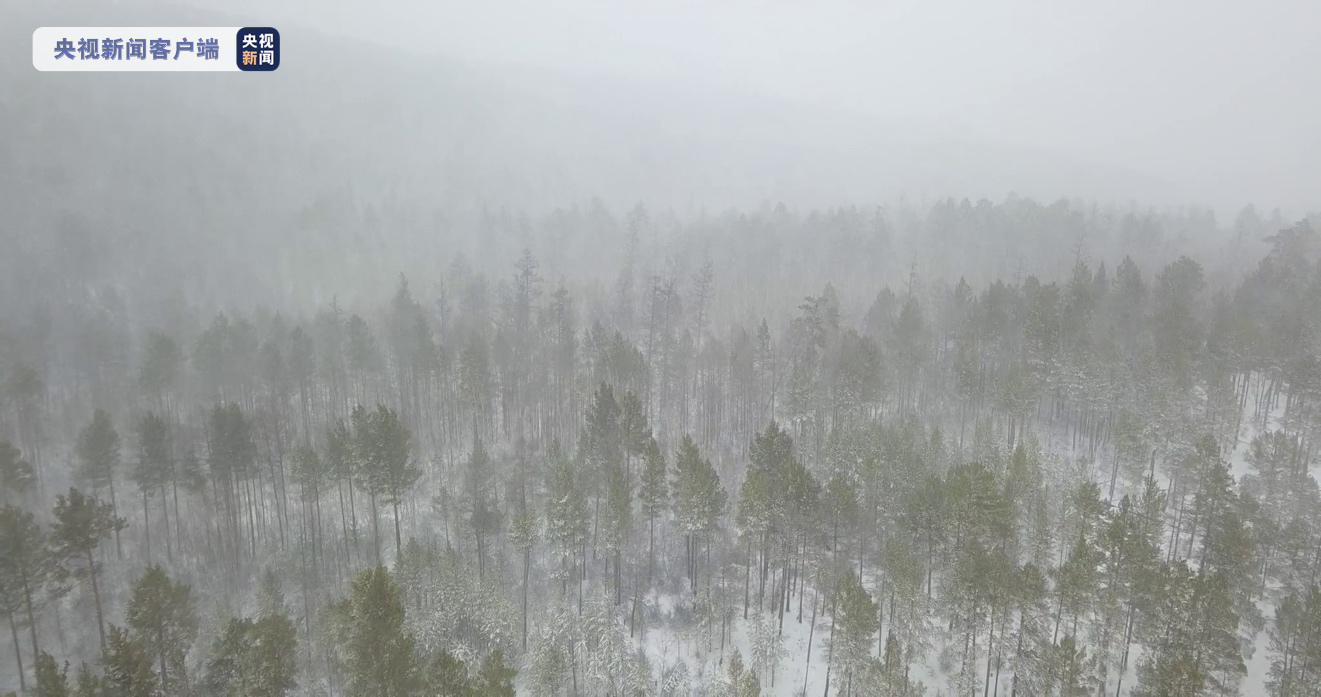 黑龙江省大兴安岭地区多地迎来强降雪休闲区蓝鸢梦想 - Www.slyday.coM
