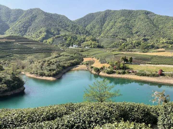 茶园里有了野生咖啡馆？这种混搭这么火都是因为……休闲区蓝鸢梦想 - Www.slyday.coM