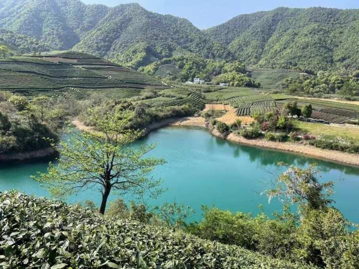 茶园里有了野生咖啡馆？这种混搭这么火都是因为……休闲区蓝鸢梦想 - Www.slyday.coM