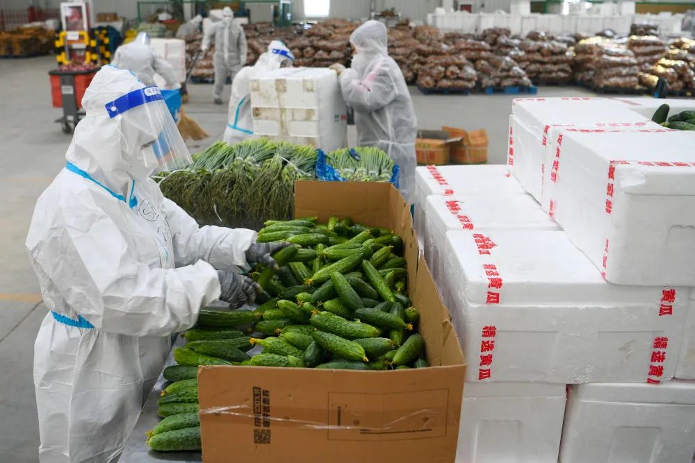 3月27日,在长春市一蔬菜中转仓,工作人员清点菜品。新华社发