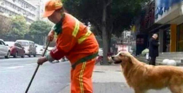 保洁阿姨捡回来一只流浪狗,随后狗的行为让路人感动不已休闲区蓝鸢梦想 - Www.slyday.coM 保洁阿姨捡回来一只流浪狗,随后狗的行为让路人感动不已休闲区蓝鸢梦想 - Www.slyday.coM