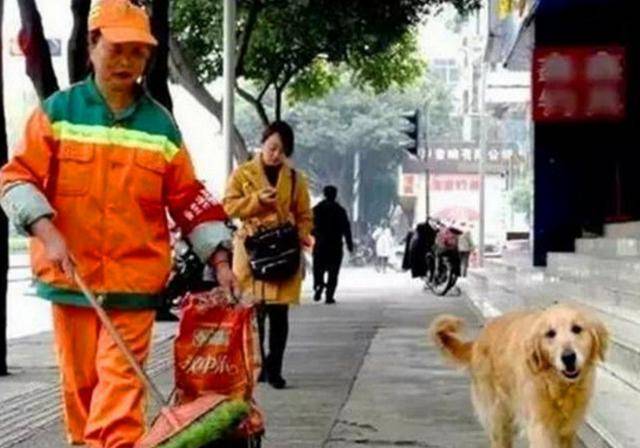 保洁阿姨捡回来一只流浪狗,随后狗的行为让路人感动不已休闲区蓝鸢梦想 - Www.slyday.coM 保洁阿姨捡回来一只流浪狗,随后狗的行为让路人感动不已休闲区蓝鸢梦想 - Www.slyday.coM