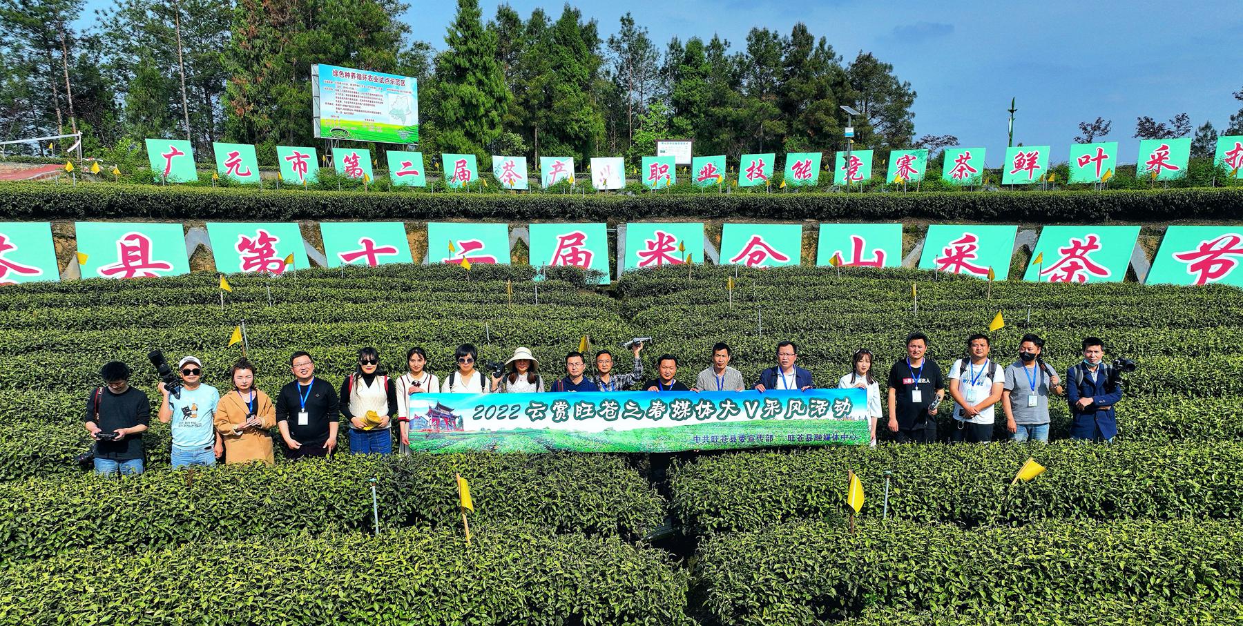 航拍特色黄茶之乡黄茶面积达41万亩风景靓丽犹如世外桃源