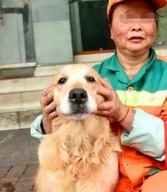 保洁阿姨捡回来一只流浪狗,随后狗的行为让路人感动不已休闲区蓝鸢梦想 - Www.slyday.coM 保洁阿姨捡回来一只流浪狗,随后狗的行为让路人感动不已休闲区蓝鸢梦想 - Www.slyday.coM