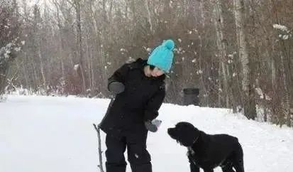 小狗被宣判活不过6个月,主人坚持用自己的方法,奇迹活了14年休闲区蓝鸢梦想 - Www.slyday.coM 小狗被宣判活不过6个月,主人坚持用自己的方法,奇迹活了14年休闲区蓝鸢梦想 - Www.slyday.coM