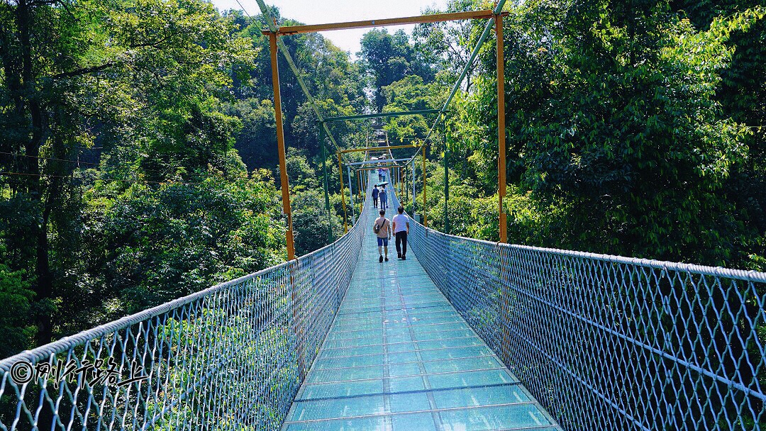 融水双龙沟风景区:原始深山野林且有特色探险胜地|大自然|双龙沟|融水