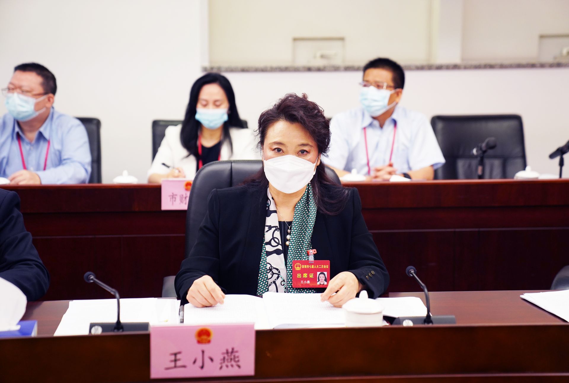 市人大代表王小燕城市品质提升和生态文明建设应密切结合才能达到更好