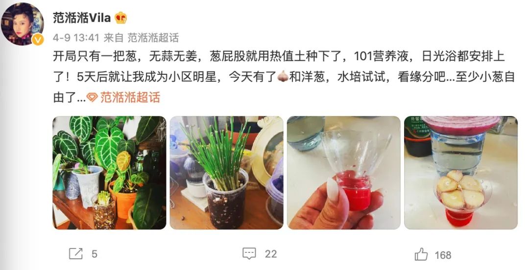 疫境求生：居家囤货指南